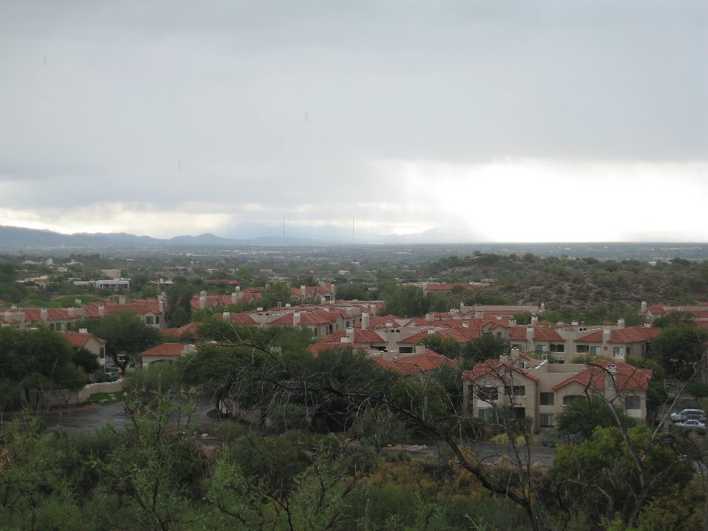 You have reached the last slide